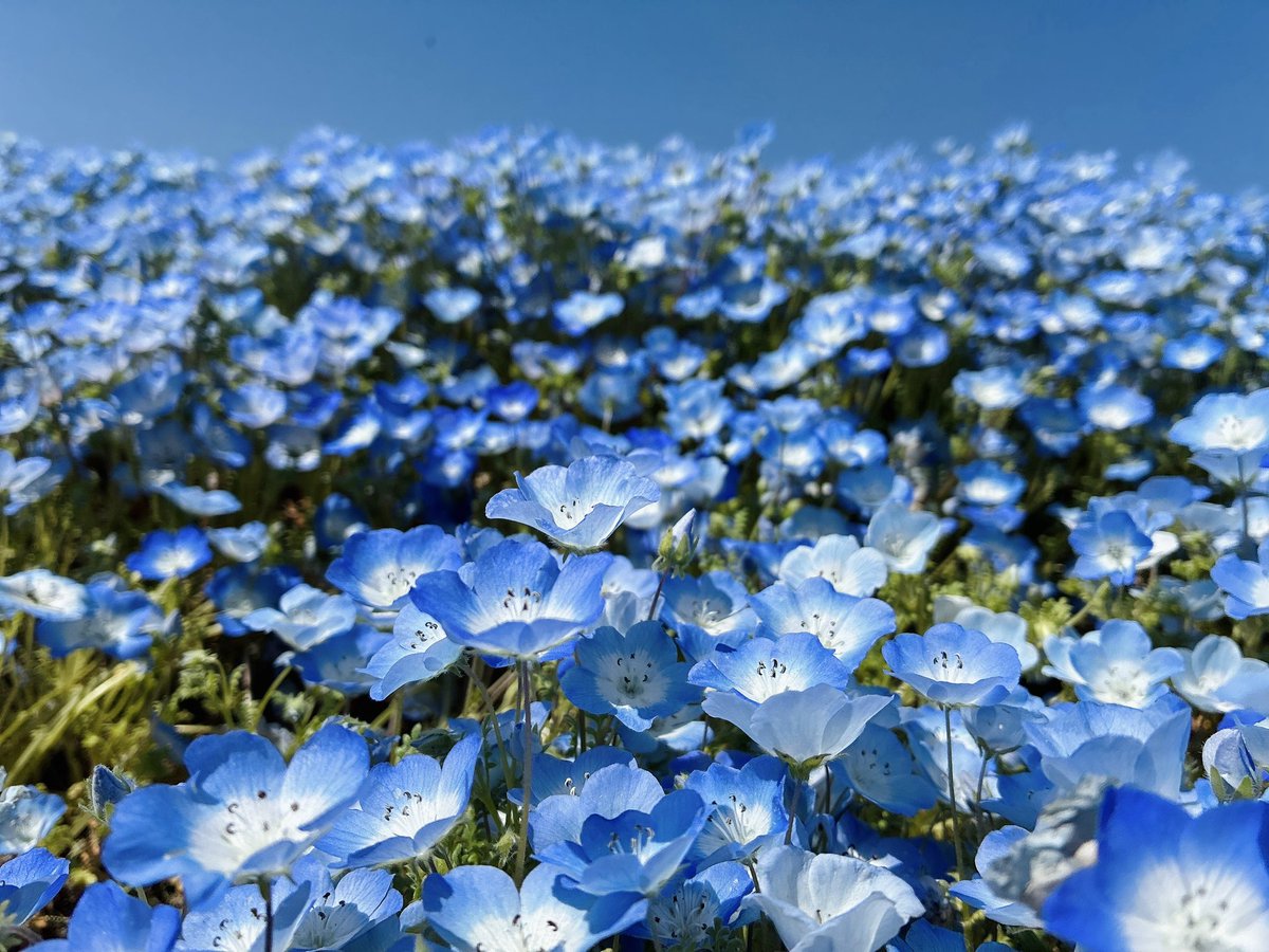 一万両 tweet media