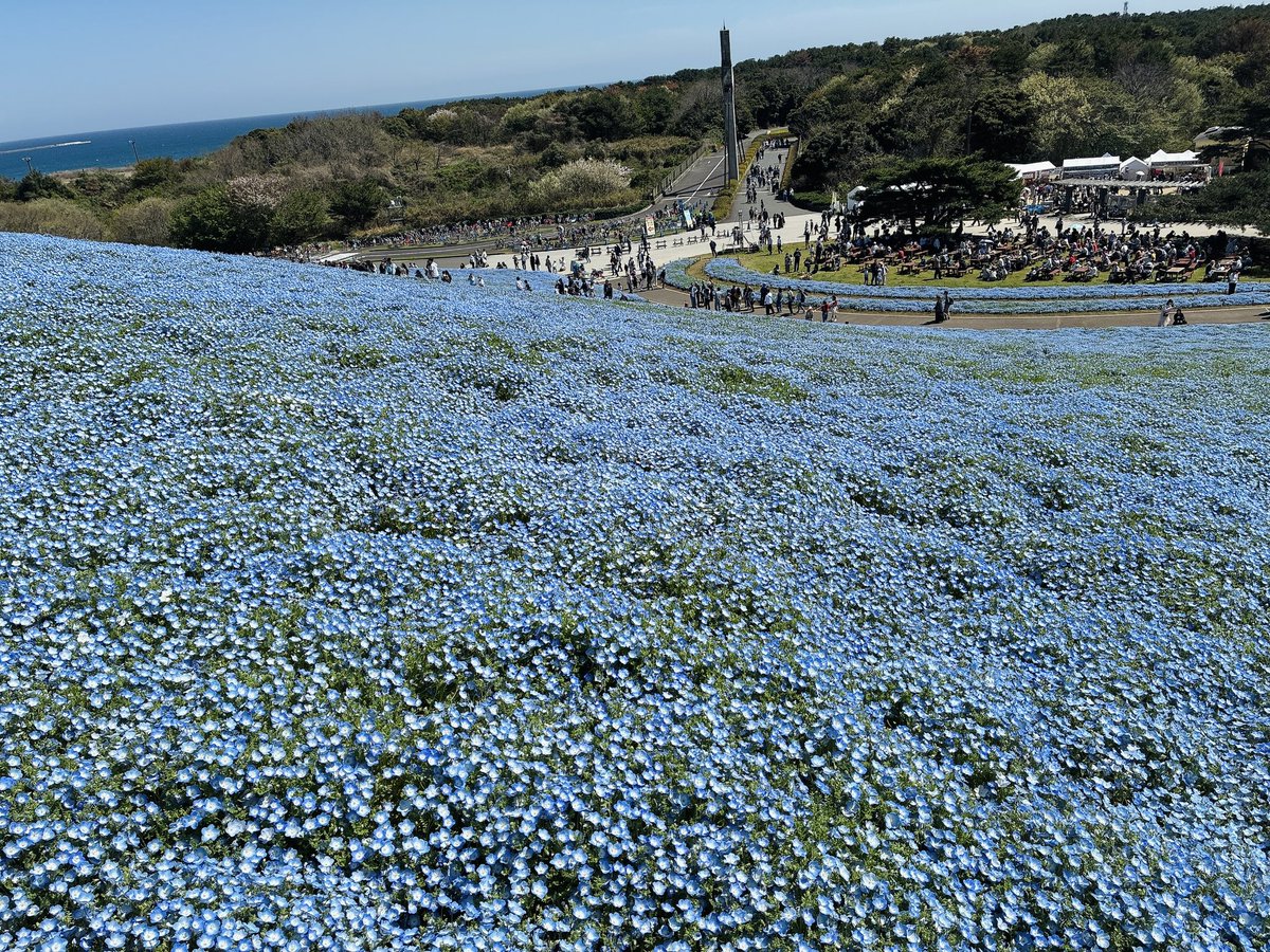 一万両 tweet media