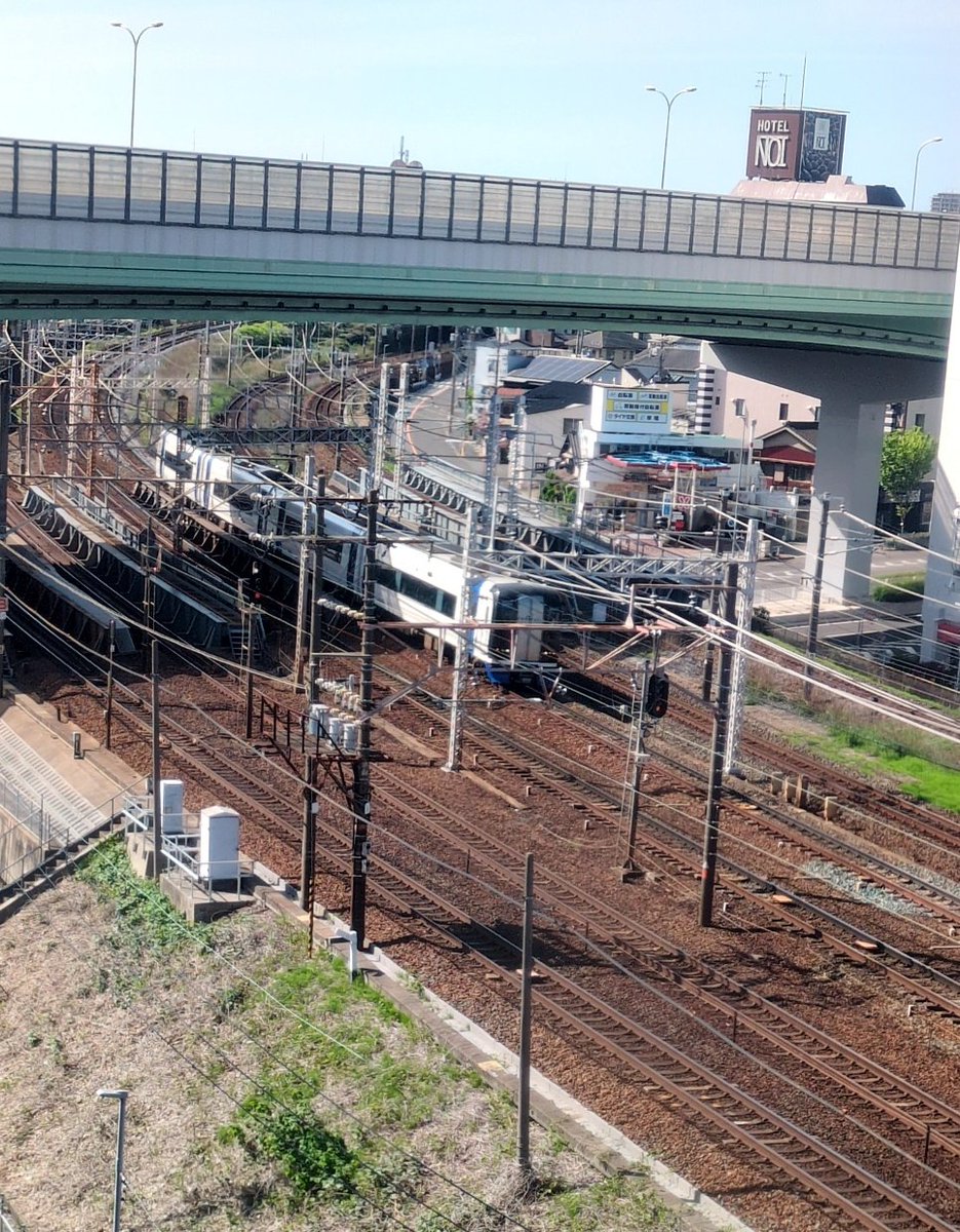 わん、わん tweet media