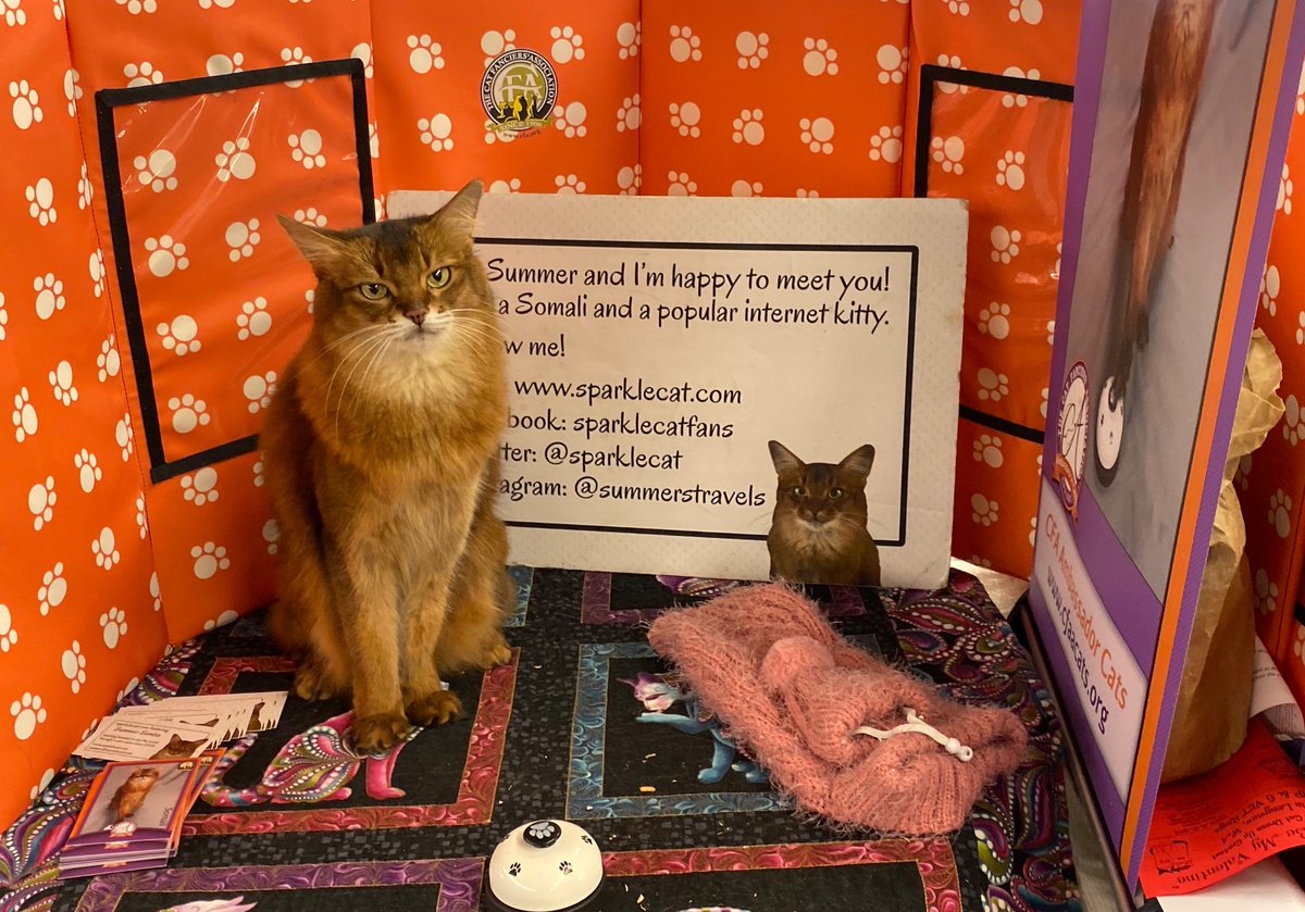 Craig S. C. Okajima tweet media