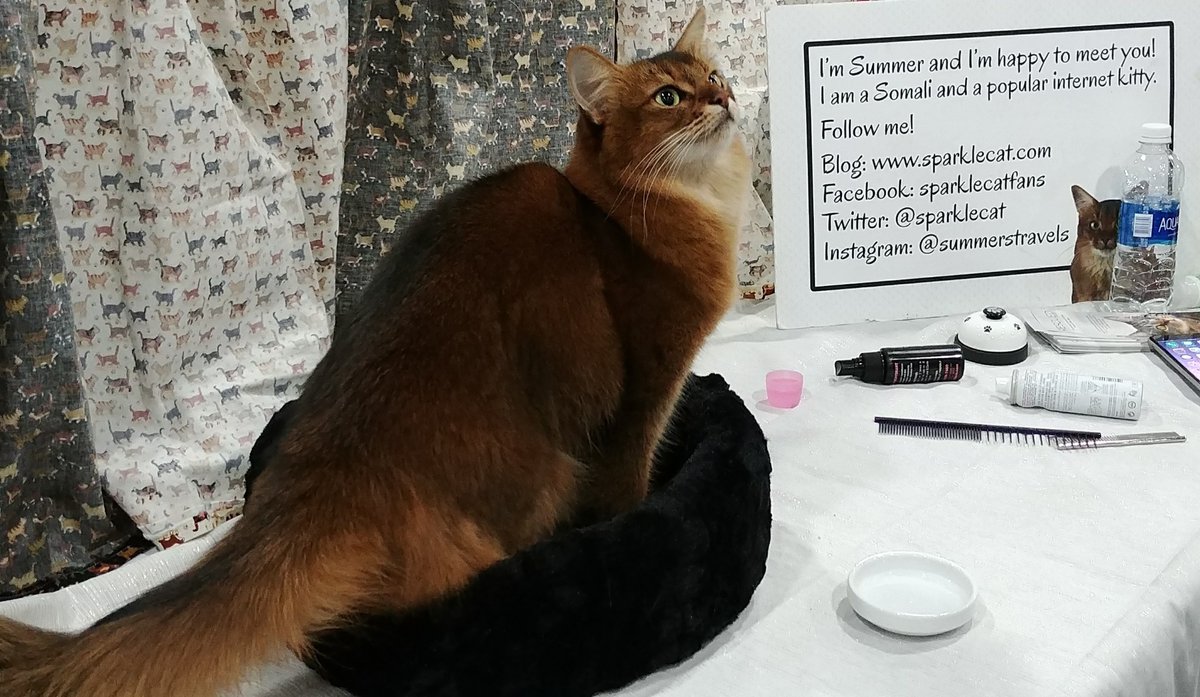 Craig S. C. Okajima tweet media