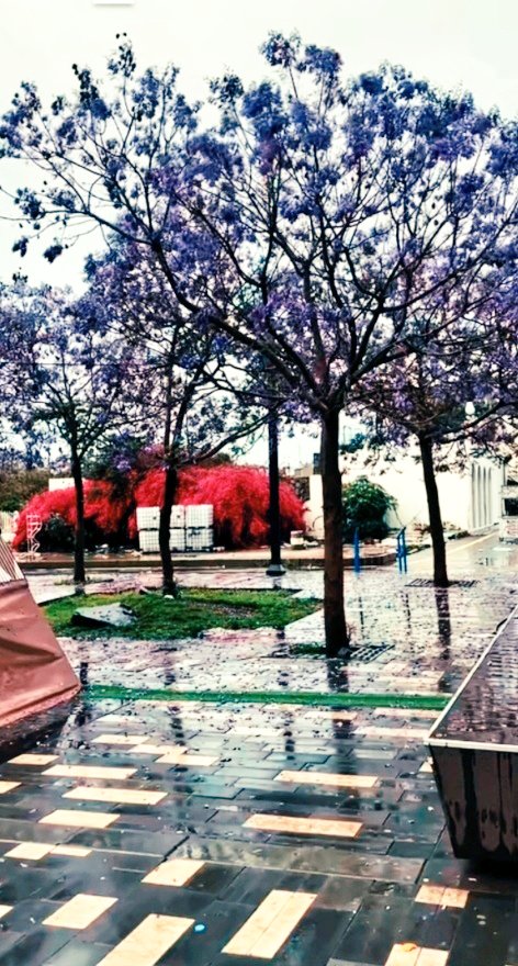 𝙵𝙰𝚆𝙰𝚉 𝙰𝙻 𝙰𝚂𝙼𝙰𝚁𝚒 tweet media