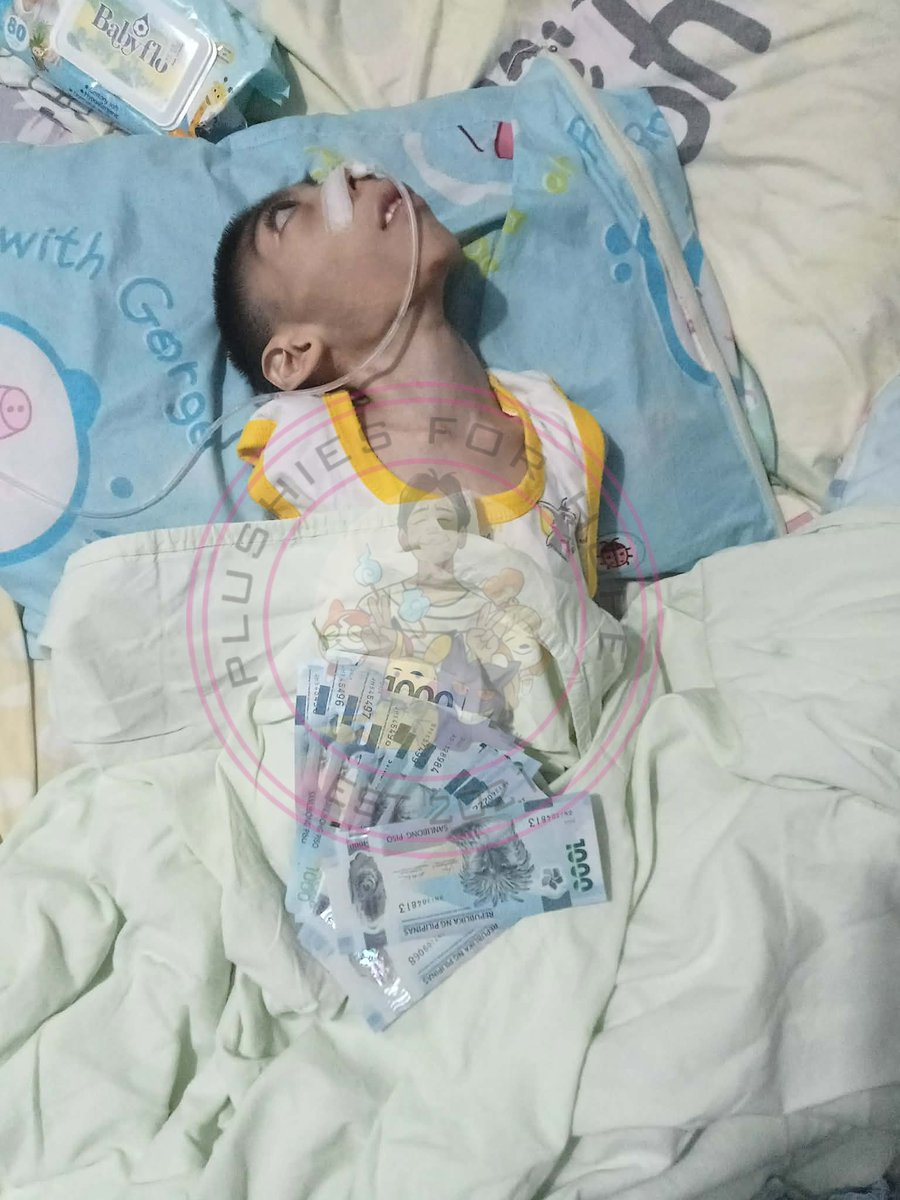 Plushies For Hope | Volunteer Group tweet media