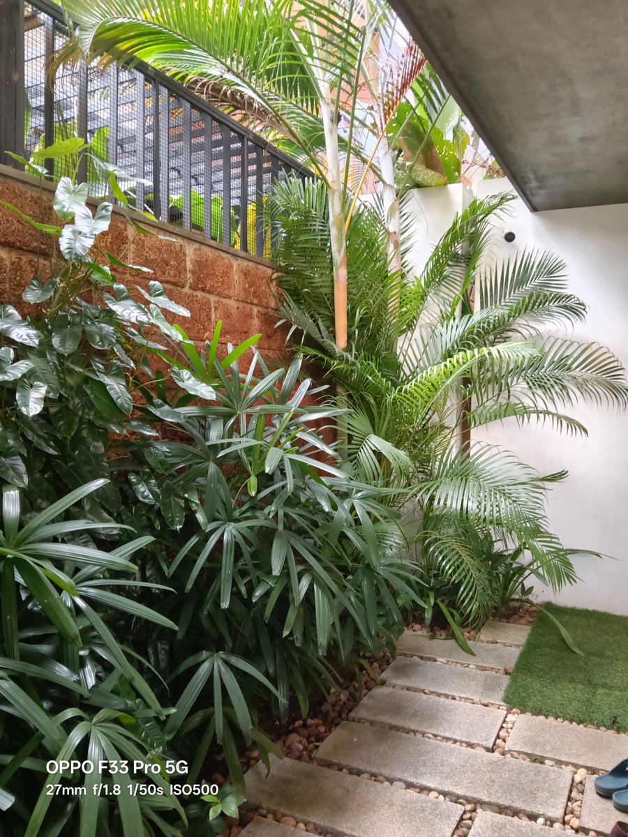 nirmaltv's tweet photo. A few camera samples from upcoming #OppoF33Pro https://t.co/JYLW9KLpy2