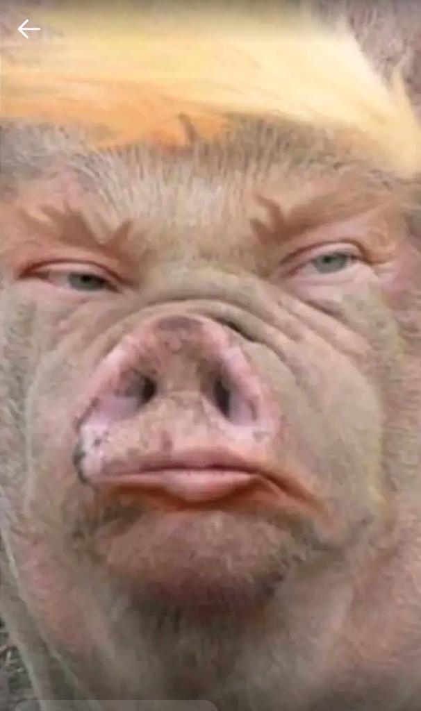 Jabin Roff tweet media