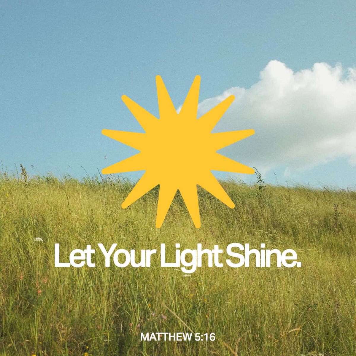 YouVersion Bible App tweet media