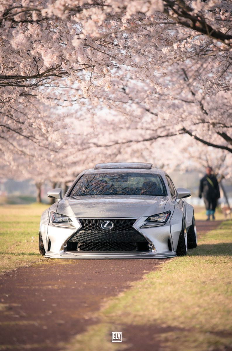SSR_Tdemand's tweet photo. 🌸 ＠cb400sf_flare 
NIKON D750 ✖️ SP 70-200mm F/2.8 Di VC USD G2 https://t.co/cfezDpSmpb