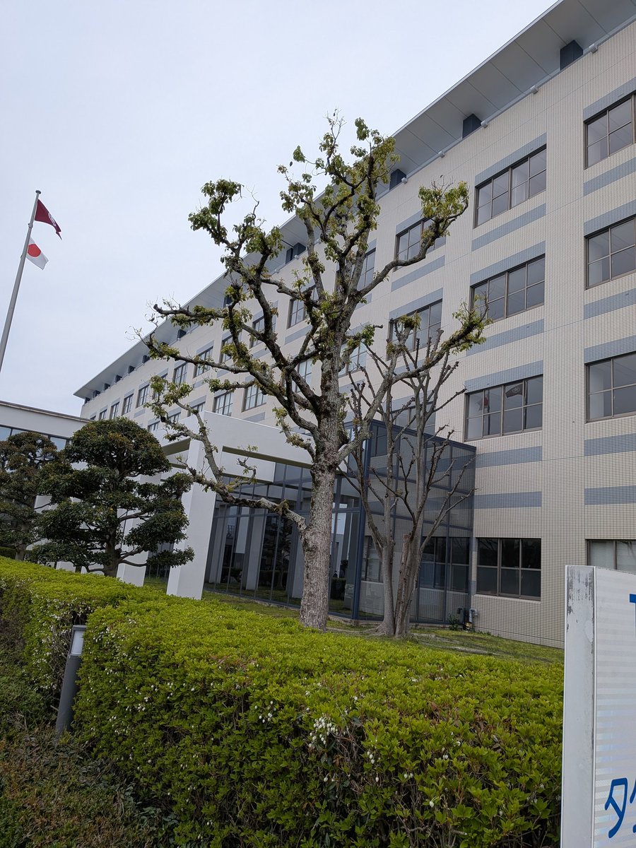 稲子(とうこ)&漣(れん) tweet media