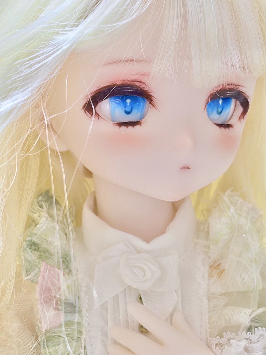 フィカド tweet media