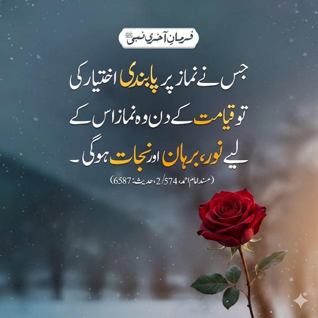 قرآن میری زندگی tweet media