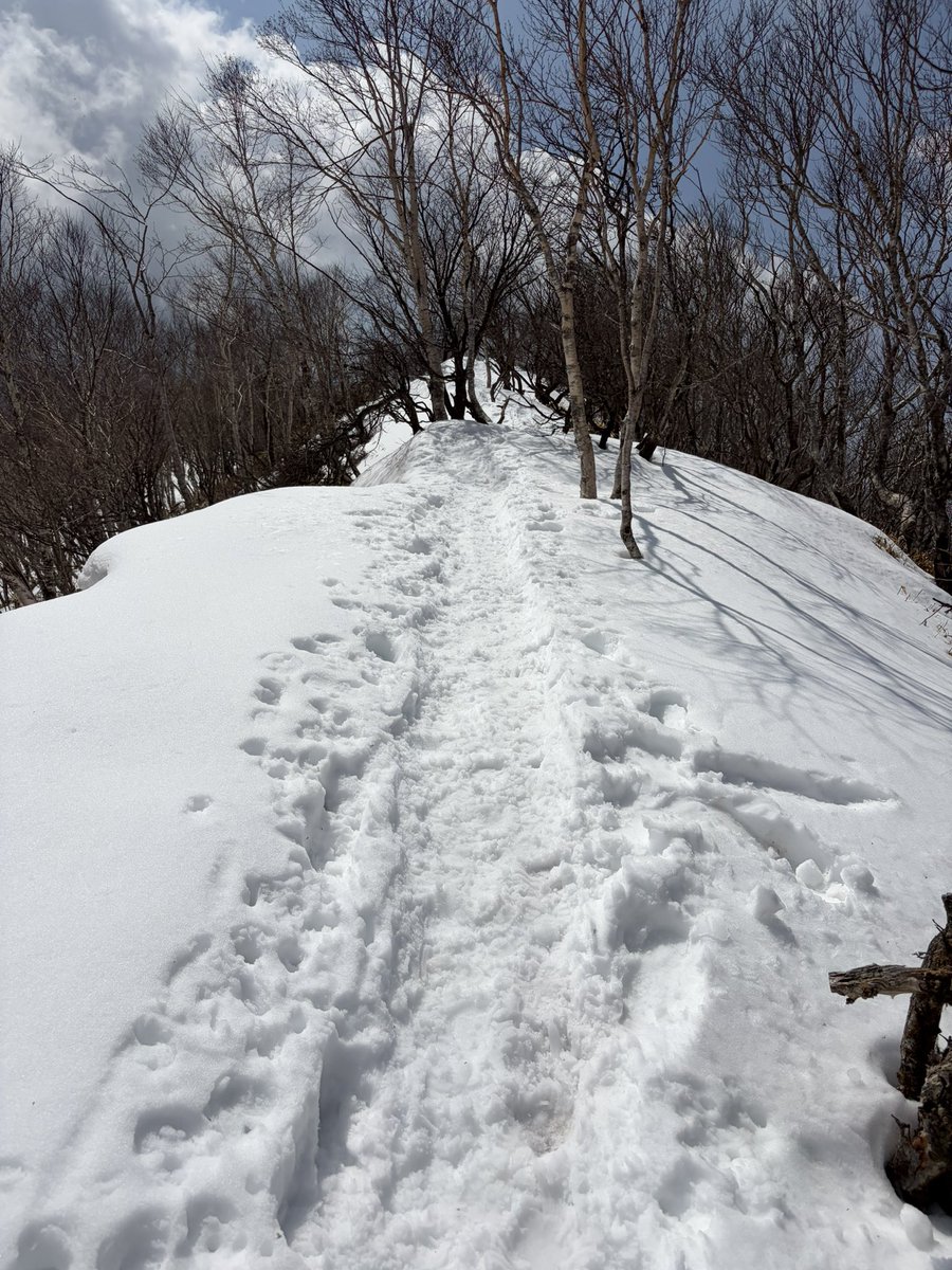 TUS_hiking's tweet photo. 3月末に赤城山に行きました！
サークルでは初の雪山で、ワクワクが止まらなかったです！
雪の上を歩く触感が本当に良かったです。
今度は一面銀色の世界が広がる2月頃の雪山に挑戦したいです！
#野田キャンパス #新歓 #サークル #理科大 #東京理科大学 #ハイキング #登山 https://t.co/WSSsPK21ot