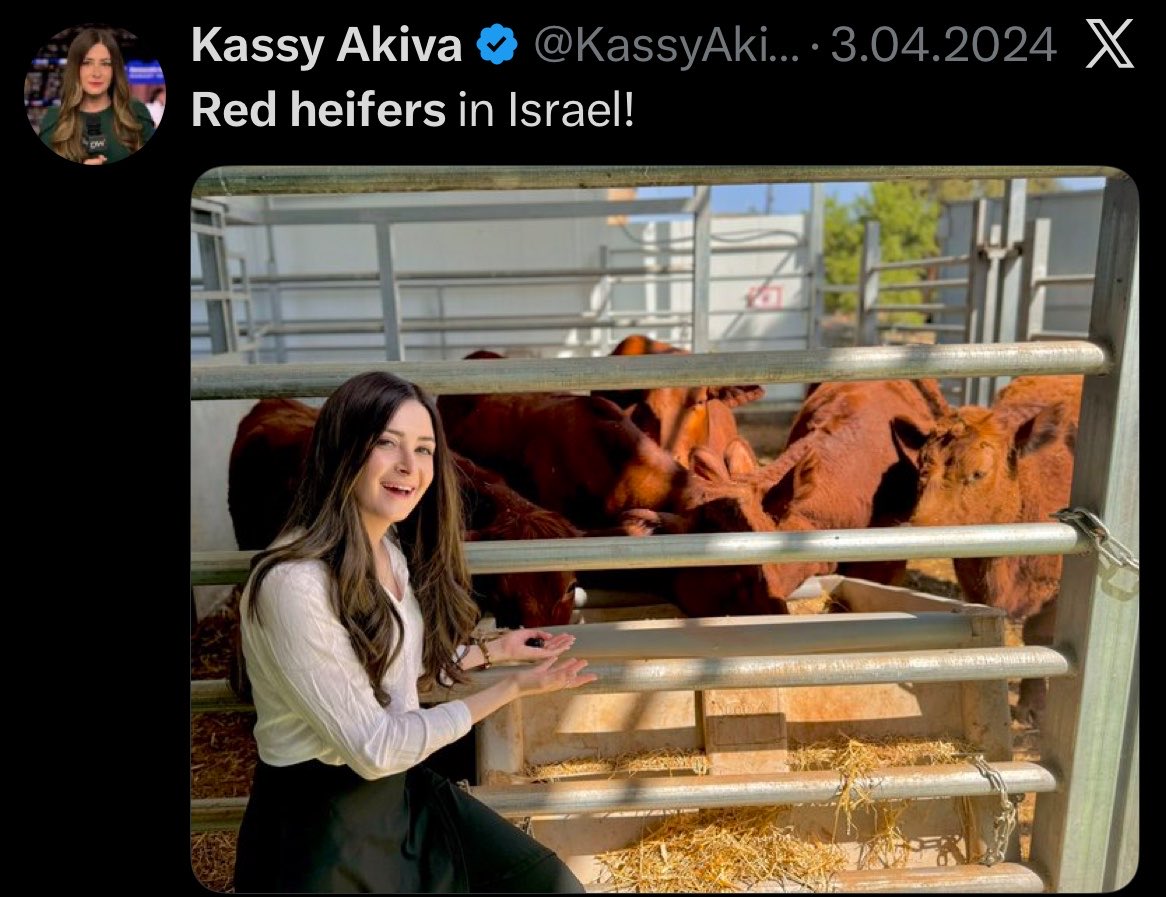 𝙎👼🏻 tweet media