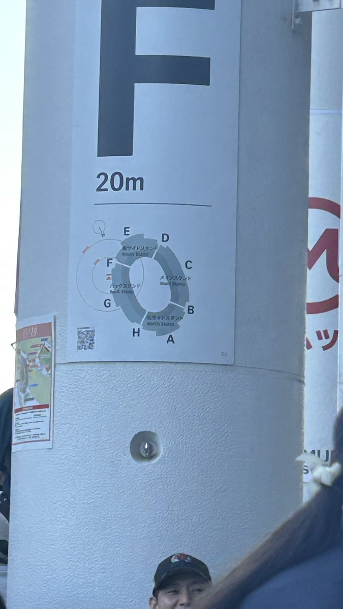 まほ tweet media