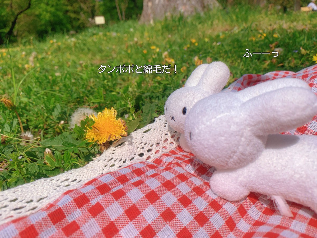 ゑ厶 tweet media