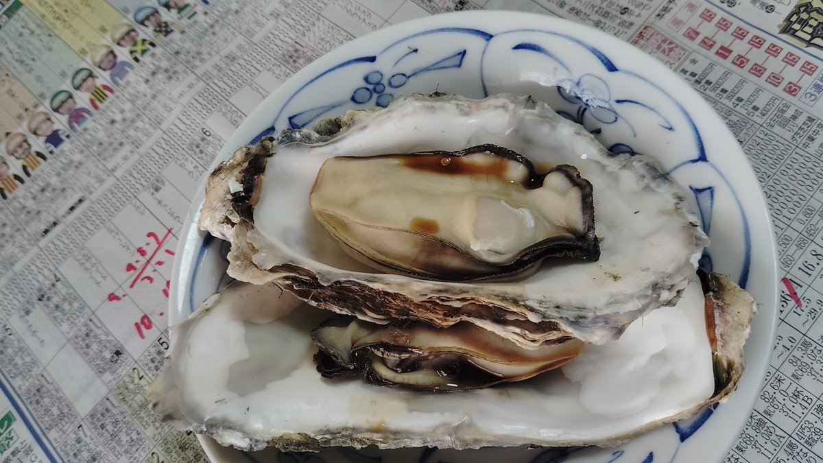 モゴモゴッ！！！モゴッ！モゴモゴゴッッッ！！！ tweet media