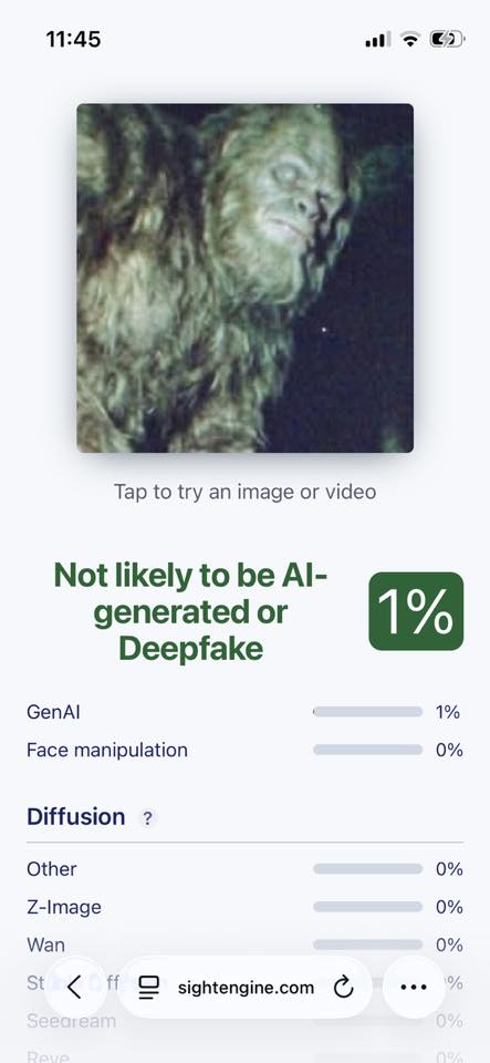UFO mania tweet media