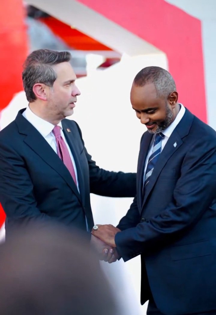 Fouwzi A. Osman tweet media