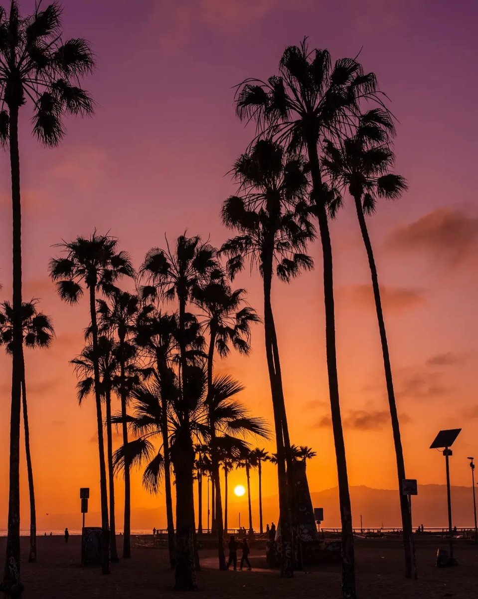 Cuando el cielo se pinta de dorado, sabes que estás en L.A. ✨
Palmeras, calma y un momento que se queda contigo.
#DescubraLA #WeLoveLA 

📸: <a href="/daniel/">daniel</a>.ayla.photos