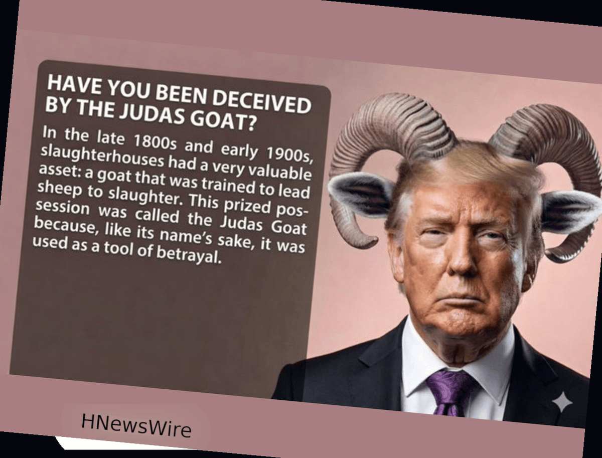 HNewsWire's tweet photo. @goddek https://t.co/XOJmHNFi5B