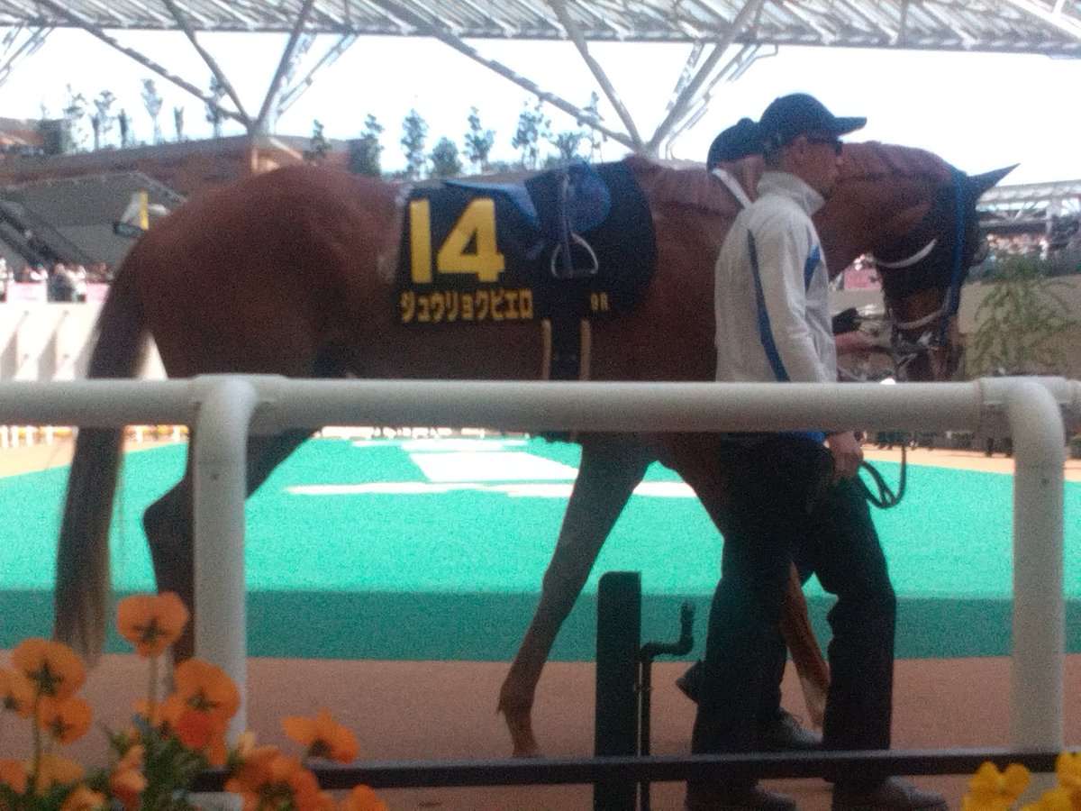 ツナグ tweet media