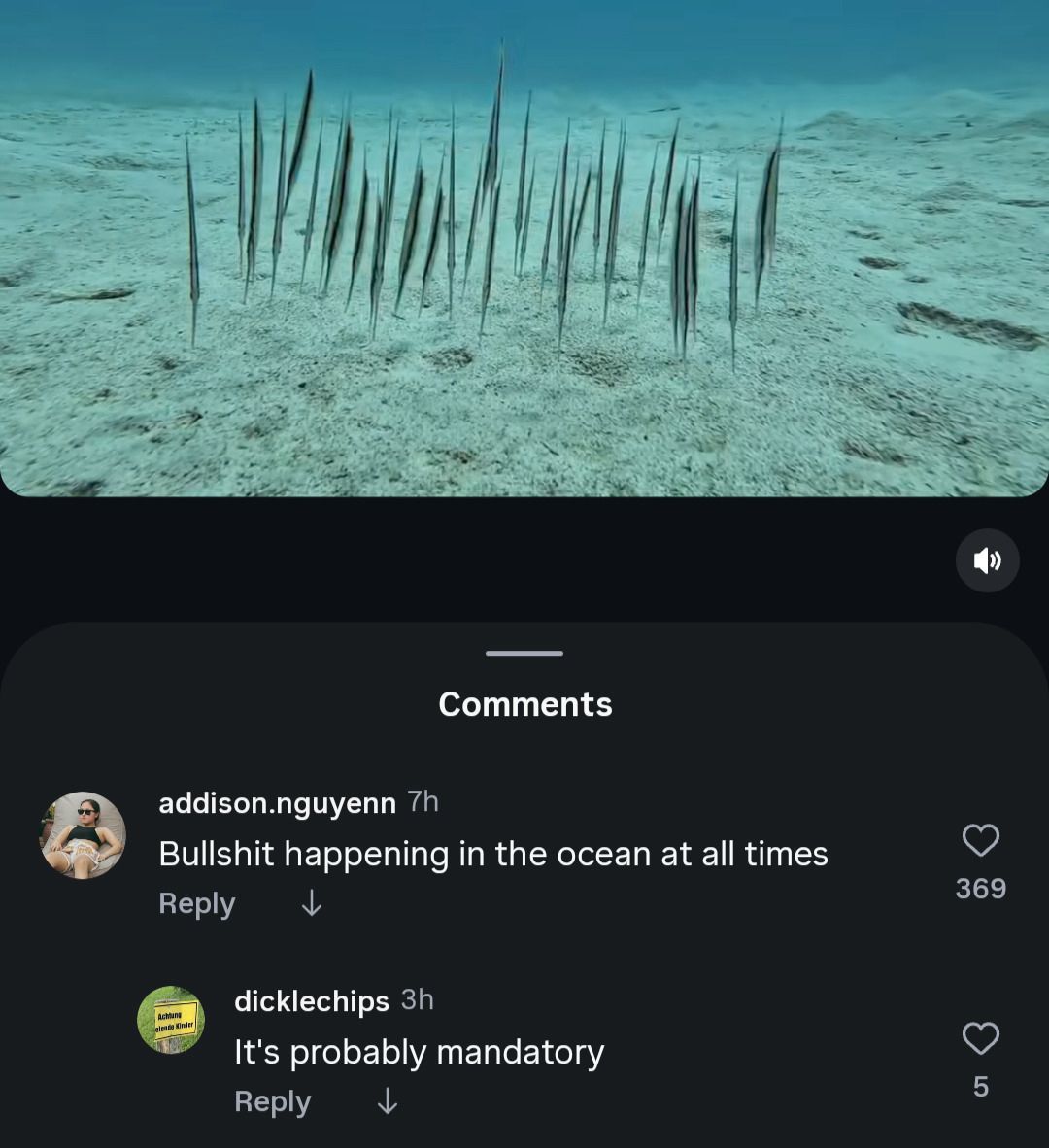 the ocean is a fundamentally unserious place