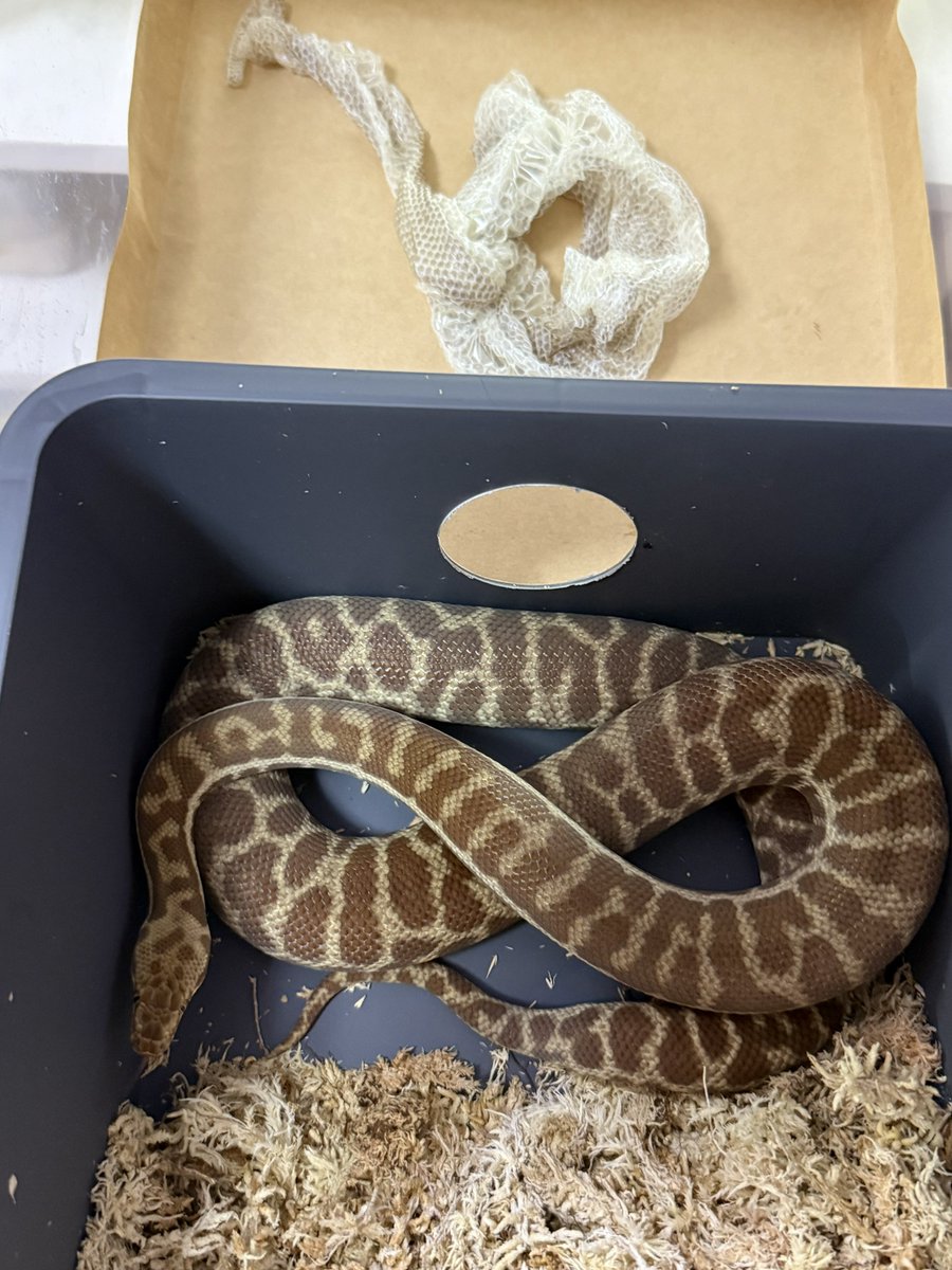 りょう tweet media