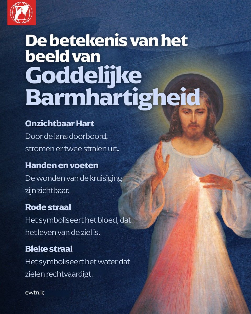 EWTN Lage Landen tweet media