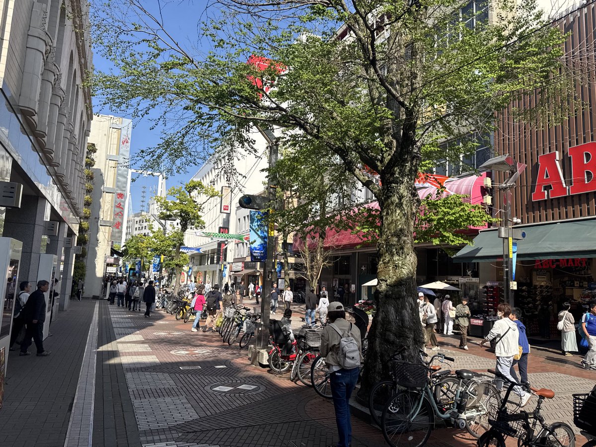 ミンチカス tweet media