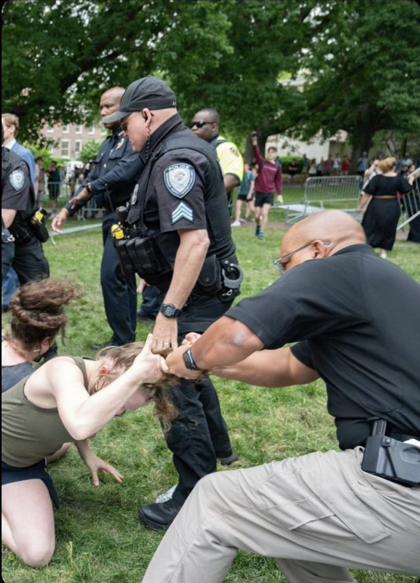 Toomin 🇵🇸 tweet media