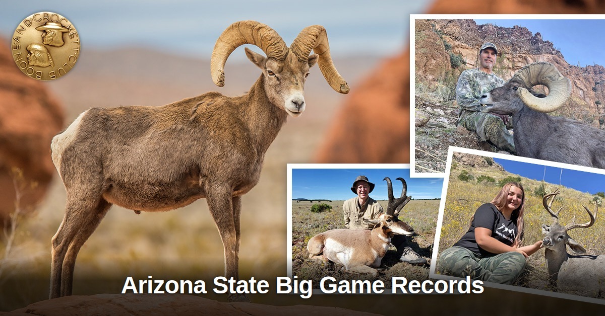 BC_Club1887's tweet photo. Arizona is known for Coues' whitetail and desert mule deer, but the state's full list of big game records goes well beyond that. Elk, pronghorn, desert bighorn sheep, black bear, and more.
πβ£οΈ Link in bio.
#ArizonaHunting #BooneAndCrockettClub https://t.co/htgDfV1WNS