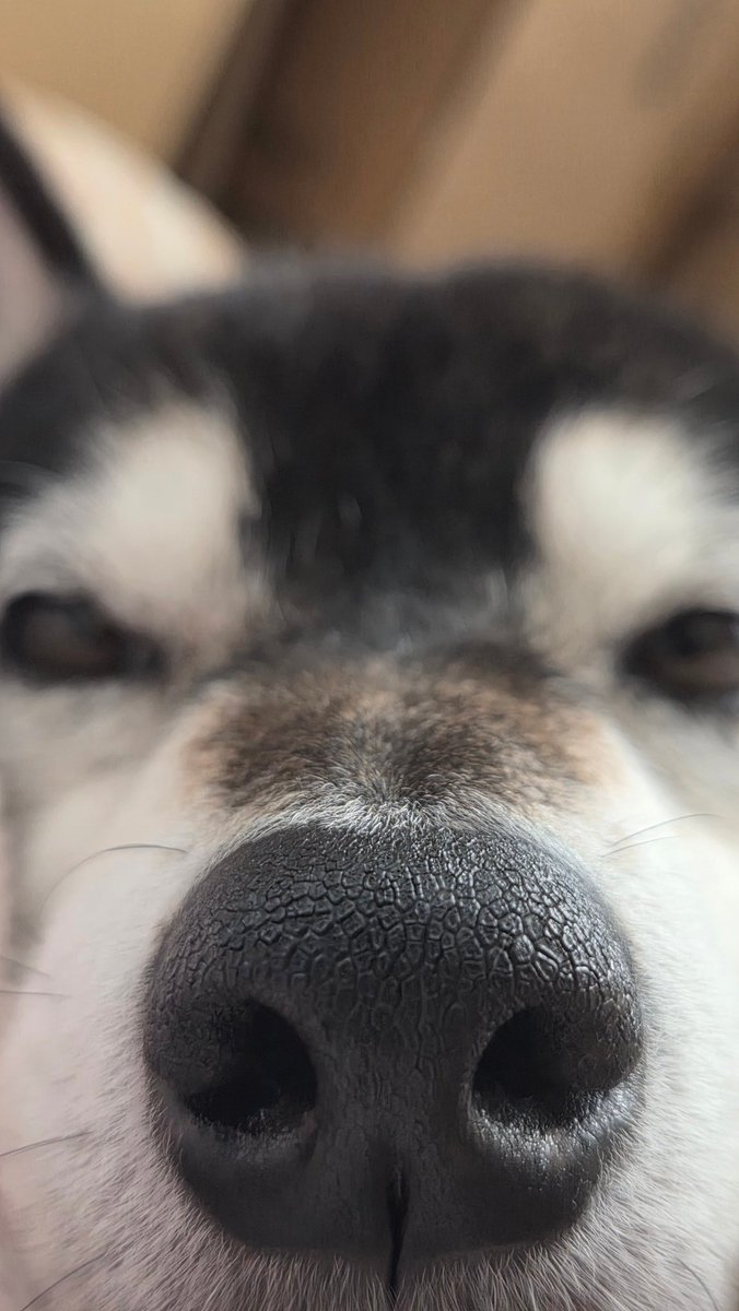 まーもっと tweet media