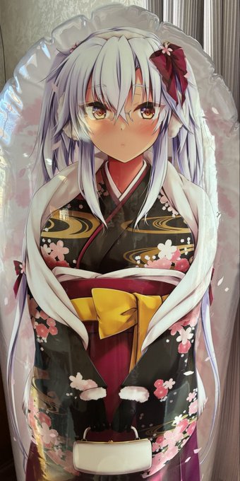 お家が広くなったから立体武蔵しゃん膨らませられた😌✨✨ 