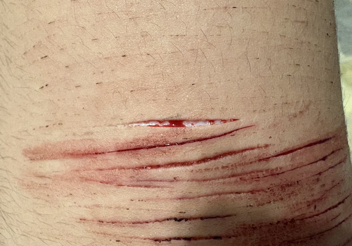 ivan of shtwt tweet media