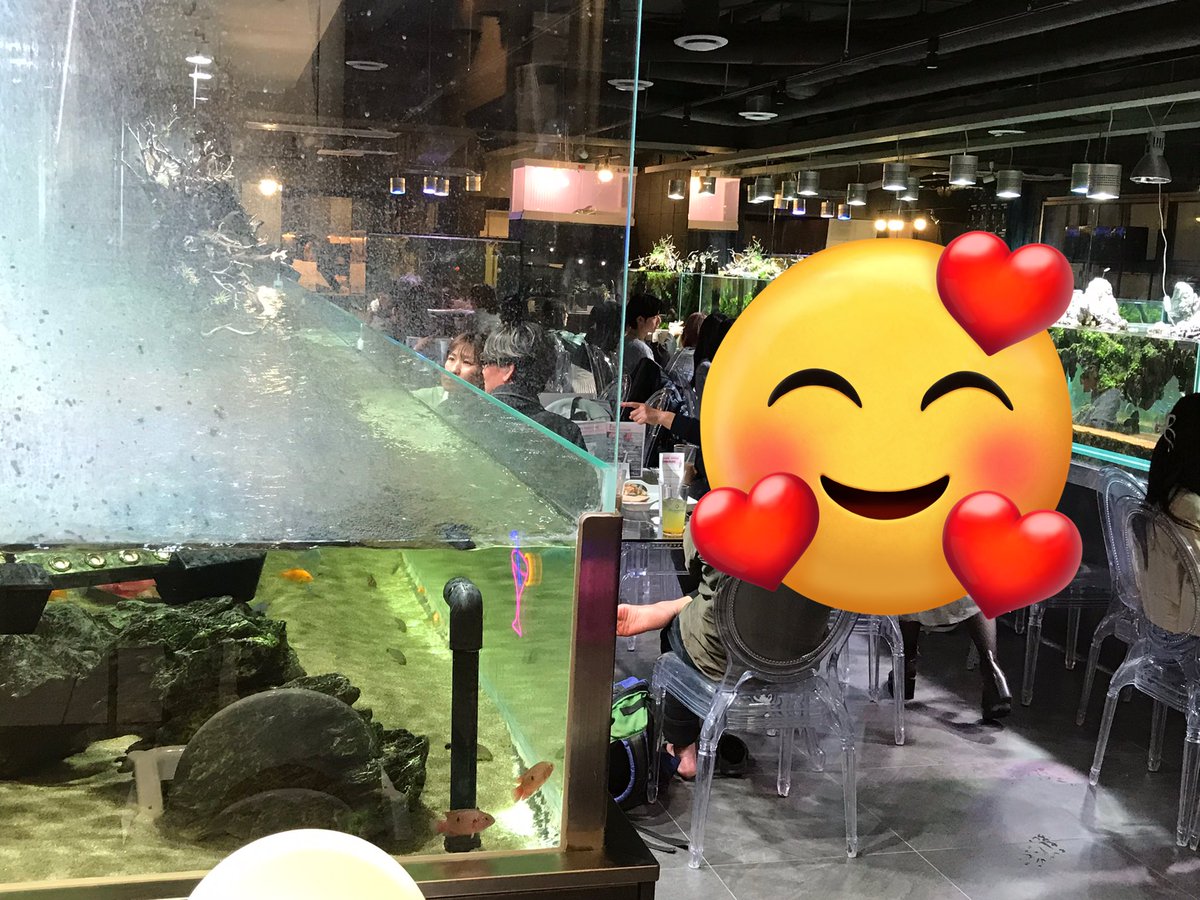 やっぱり夏は、わき毛真拳 tweet media