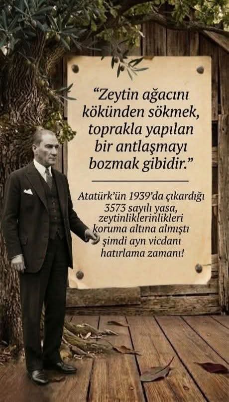 ᗰᑌᕼᗩᒪᎥᖴ丅ᗴƳ乙ᗴ tweet media