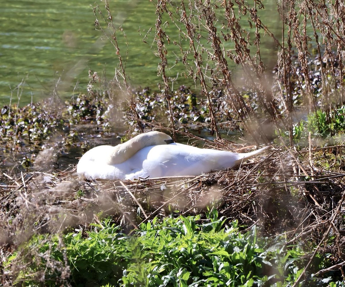 Helen Ibbott 💙📸📖 tweet media