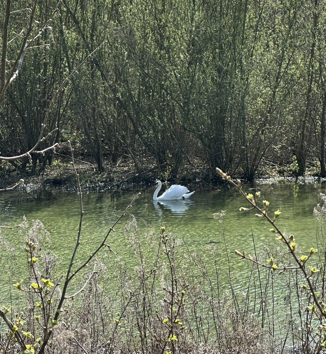 Helen Ibbott 💙📸📖 tweet media