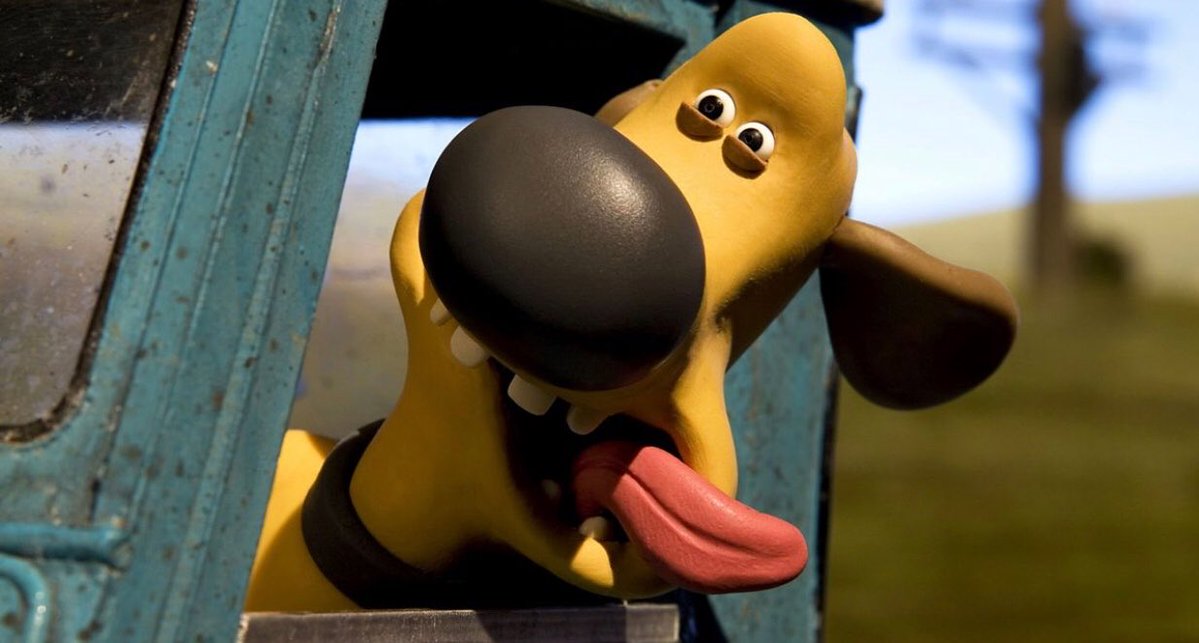 Wild Goose tweet media