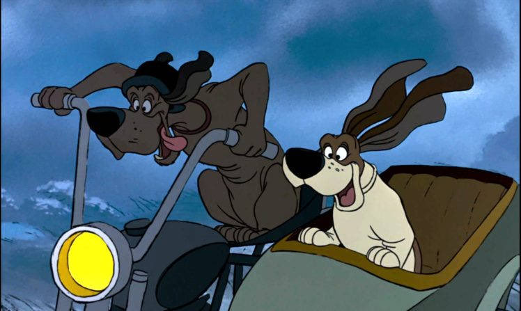 Wild Goose tweet media