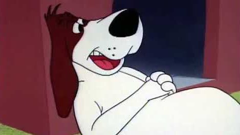 Wild Goose tweet media