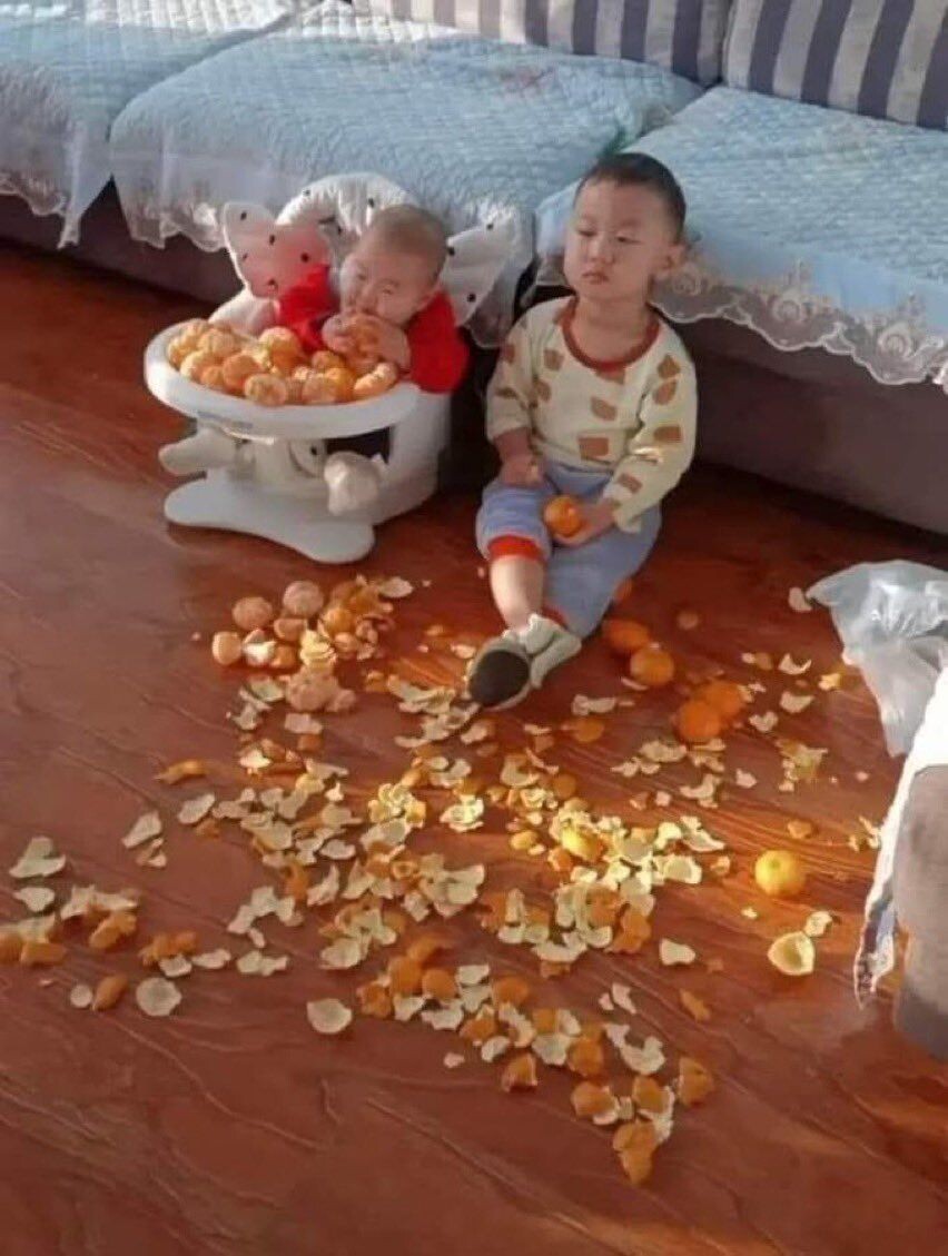 푸딩🍮 tweet media