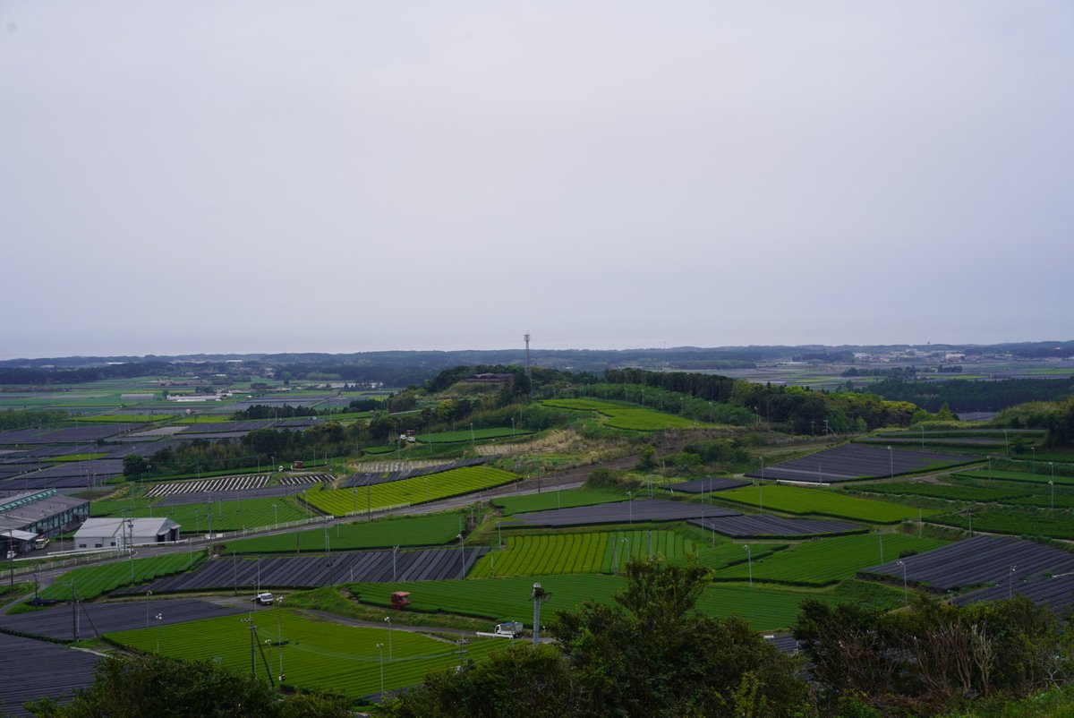 この時期に見られる茶畑の黒い幕。
この広大な茶園一つ一つに、ほぼ手作業でかけていく大変な仕事です。

この作業により、茶の味わいが格段に良くなり、現在の鹿児島茶の地位を築き上げたと言っても過言ではないと思っています。

この丁寧な作業風景を多くの人達に知っていただきたいと思っています