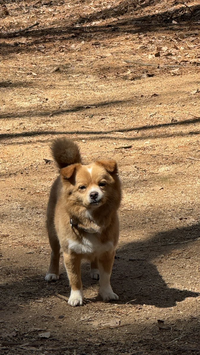 김딱밤 아카이브 tweet media