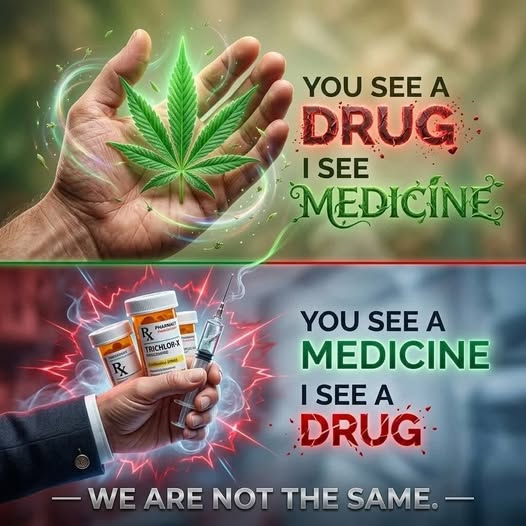 May Daze tweet media