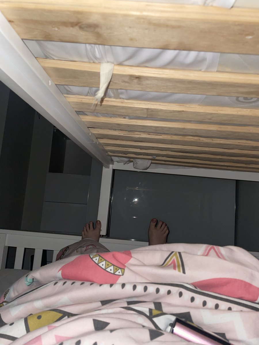 francesca 🧸 tweet media