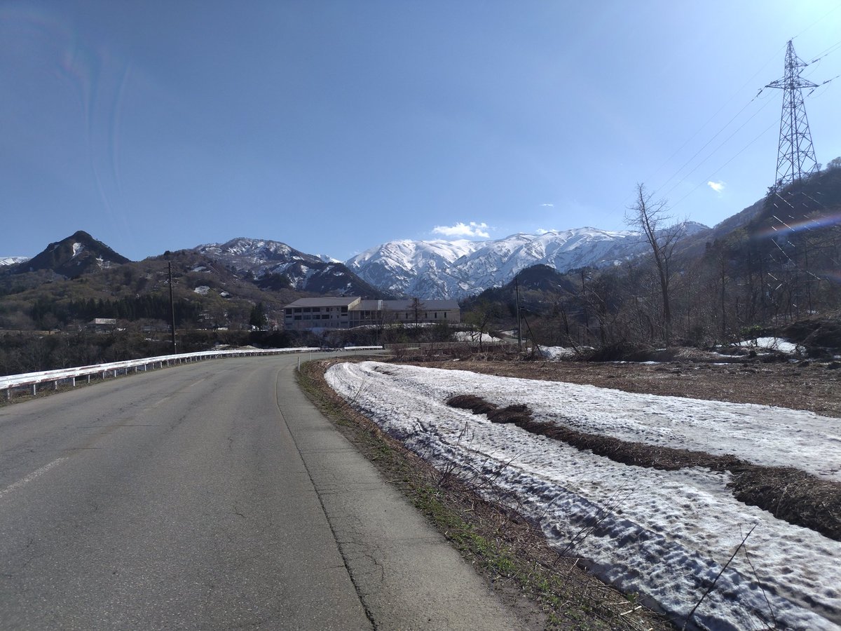 味噌バターポテト tweet media