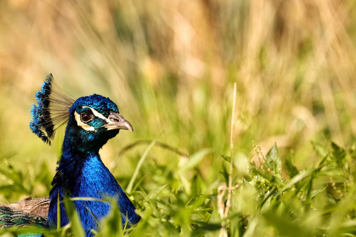 William Hulbert Photography tweet media