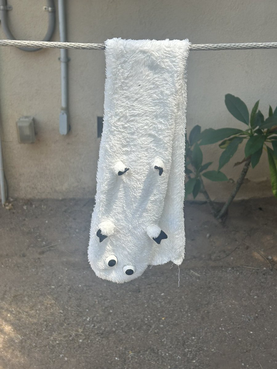 🌟River🌟 tweet media