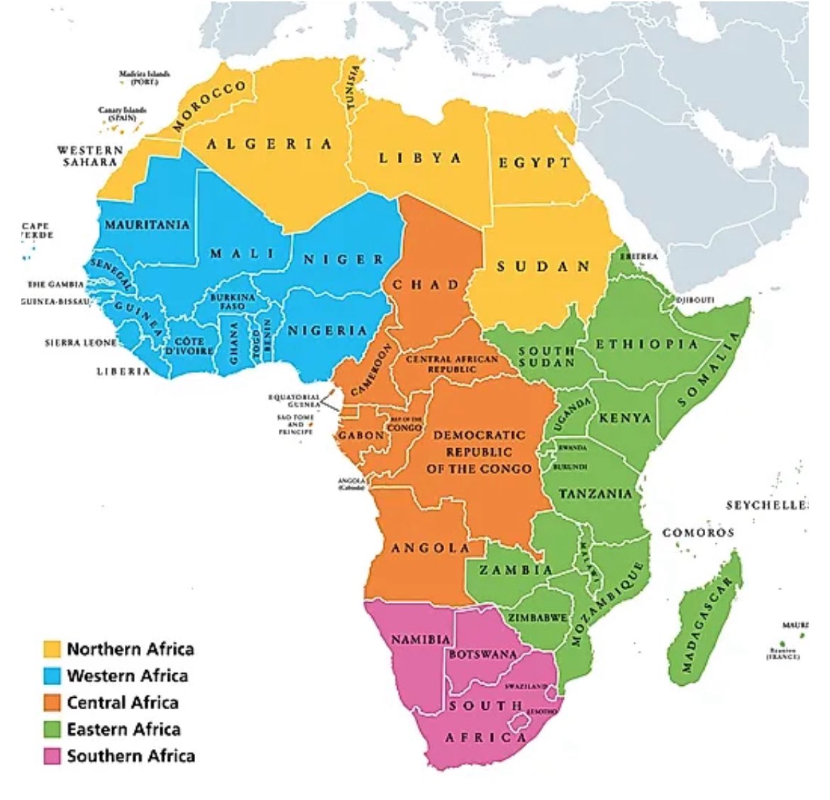 Zimbabwean-Xhosa 🇿🇼 🇲🇿 tweet media