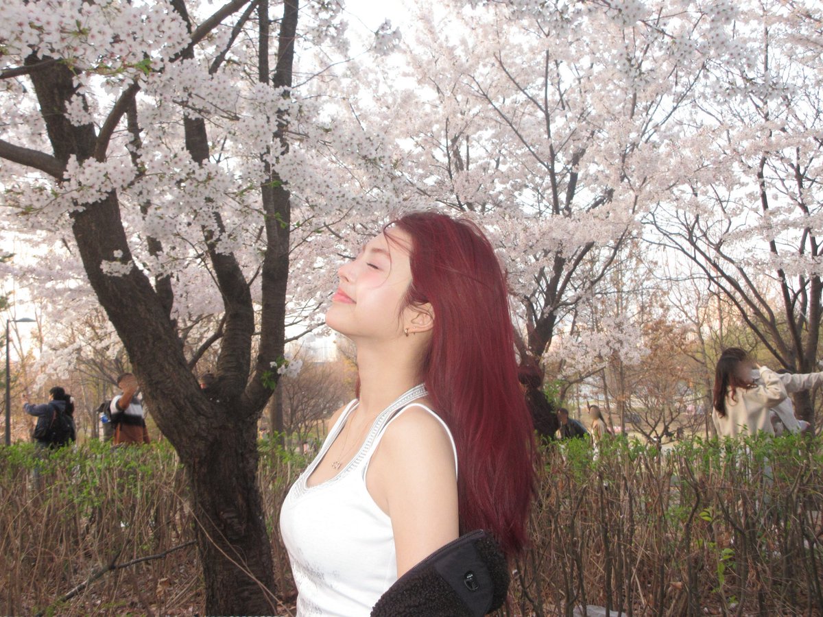 BABYMONSTER PICS tweet media